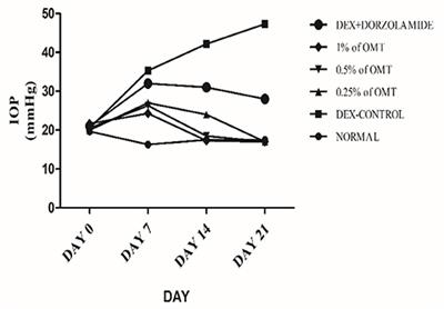 Oxymatrine Protects TGFβ1-Induced Retinal Fibrosis in an Animal Model of Glaucoma